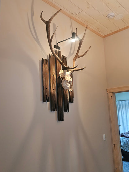 Custom European Elk Mount